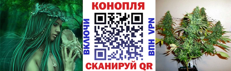 Купить где  Осинники  Конопля AK-47 